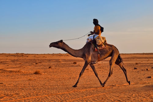 Visit Mauritania